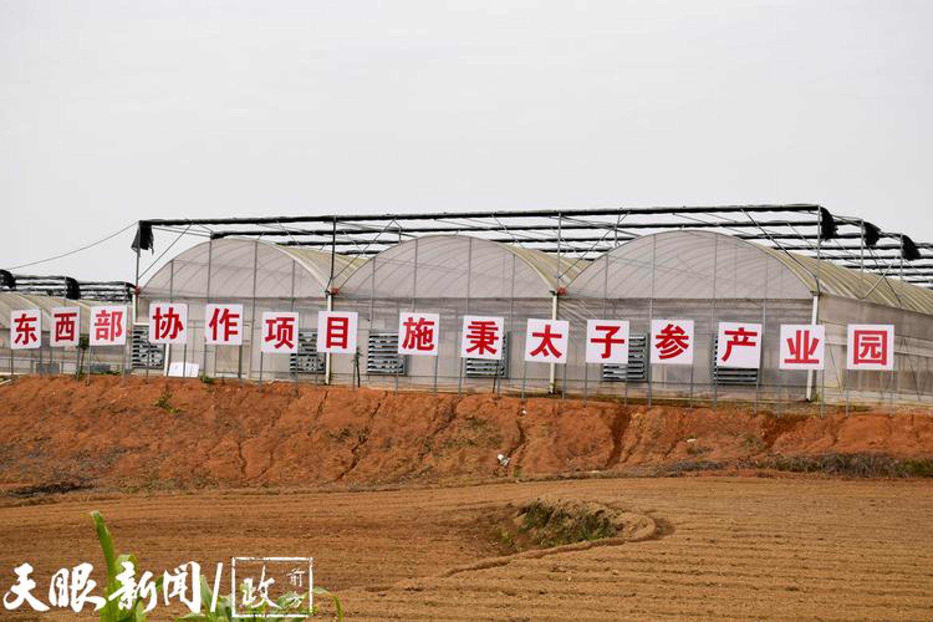 黔东南供销